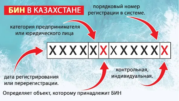 Что такое СНТ в Казахстане